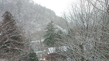 shima-snow.JPG